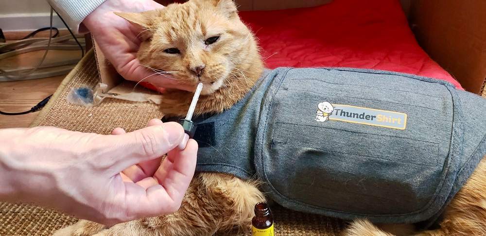 Bach Rescue Remedy Pet Supplement