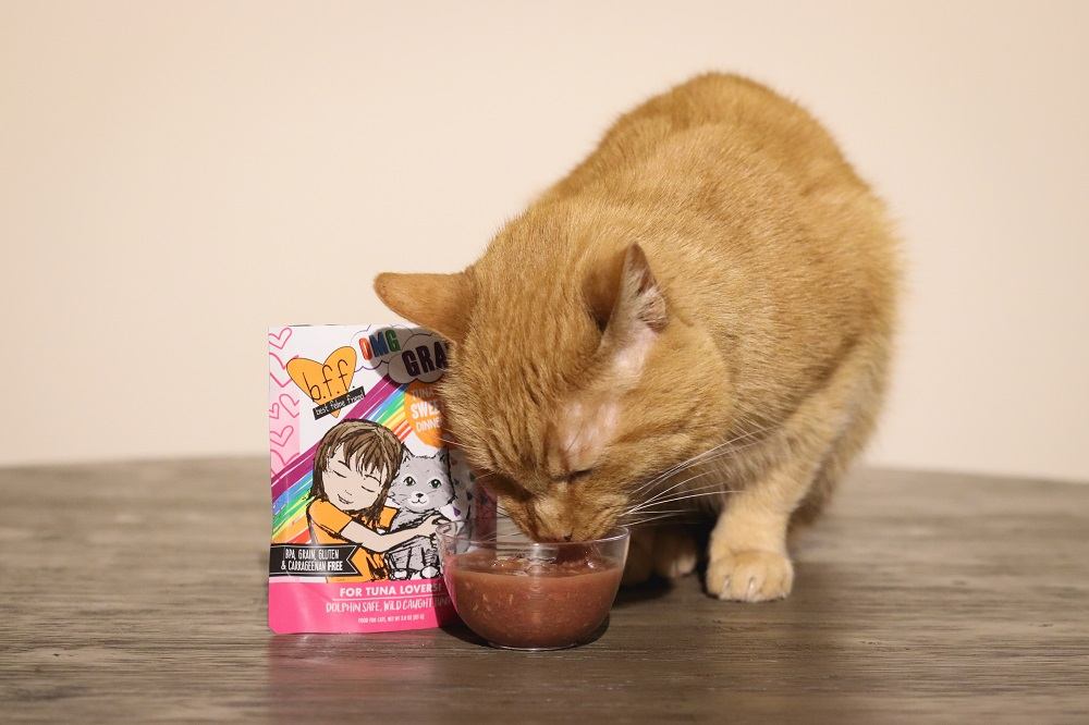 BFF OMG Tuna & Salmon Sweet Cheeks Dinner