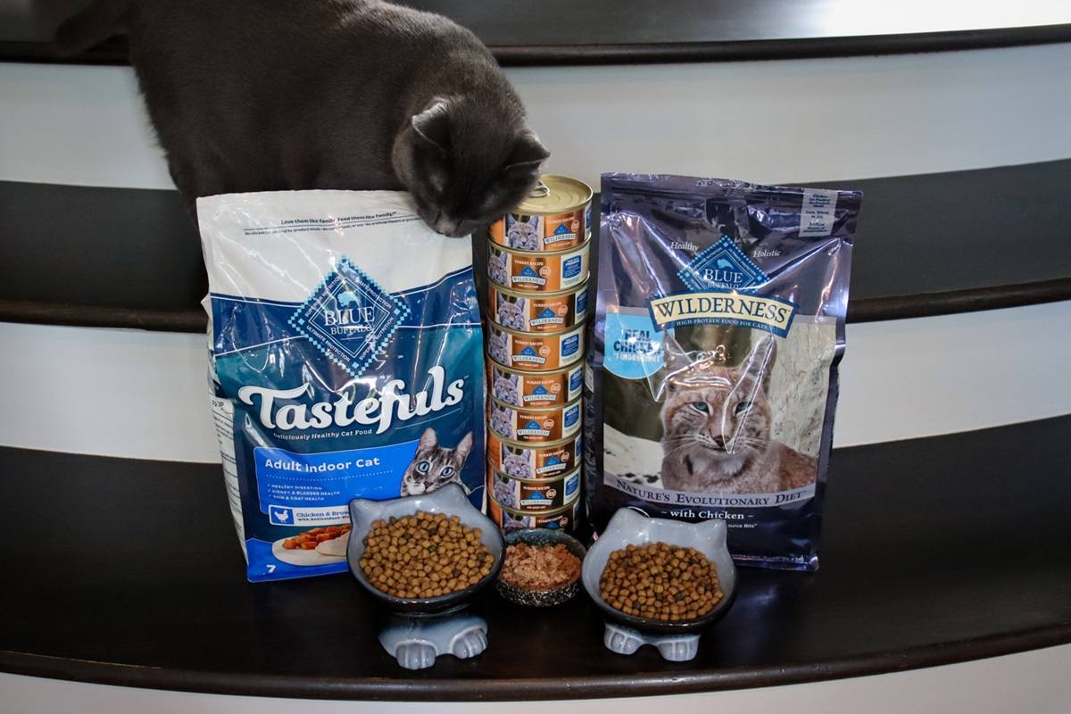Blue Buffalo Cat Food Review Roundup-4