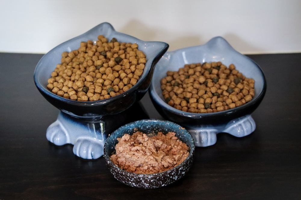 Blue Buffalo Cat Food Review Roundup-5