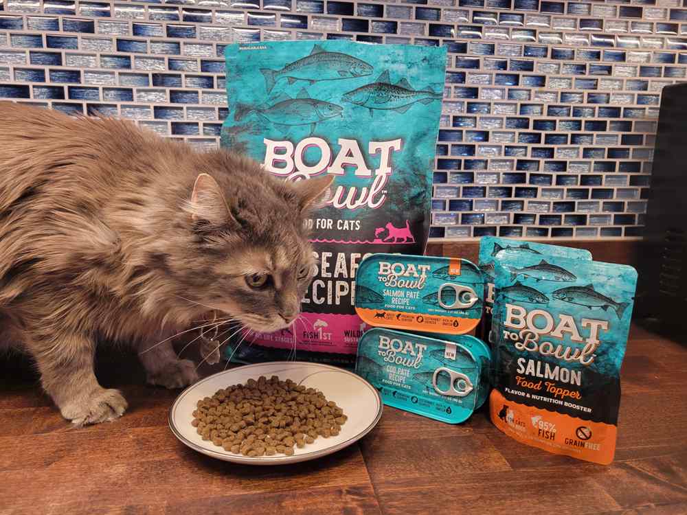 cat testing Boat to Bowl cat food products