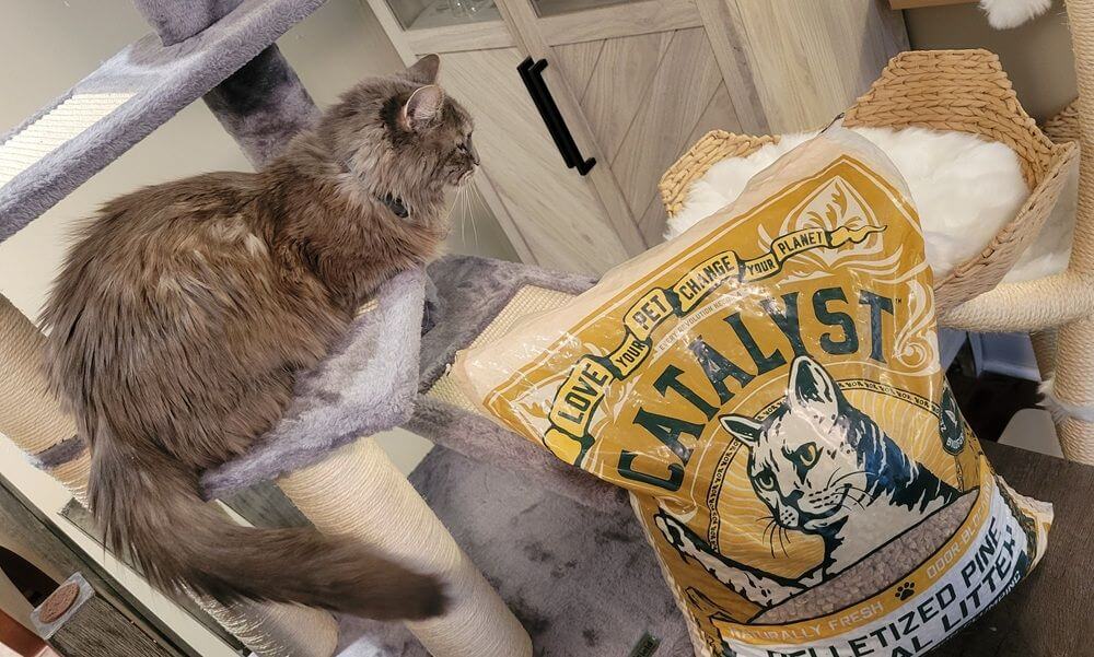 Catalyst Pelletized Pine Natural Litter