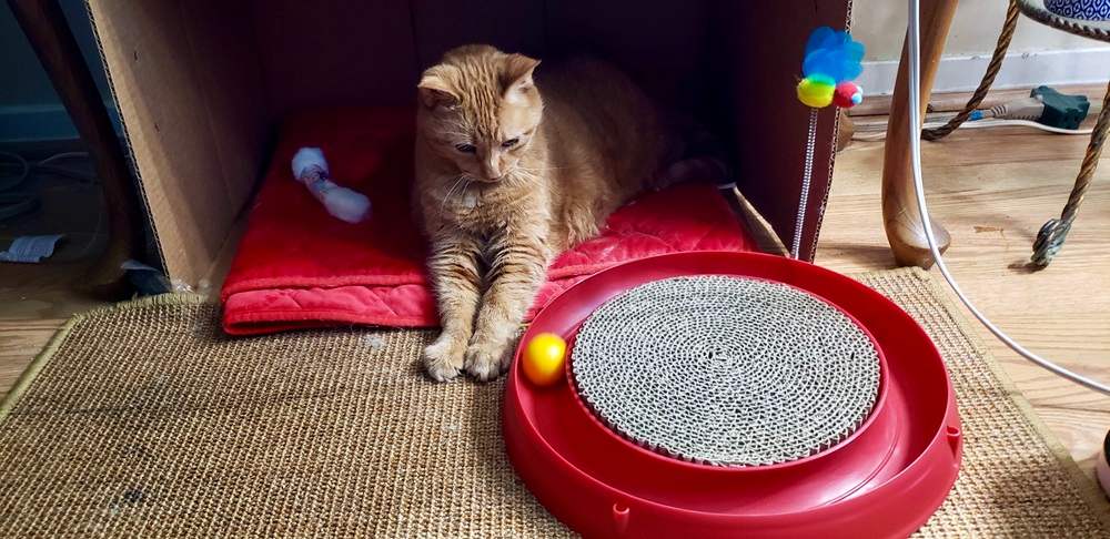 Catit Play Scratch Pad Circuit Ball Toy