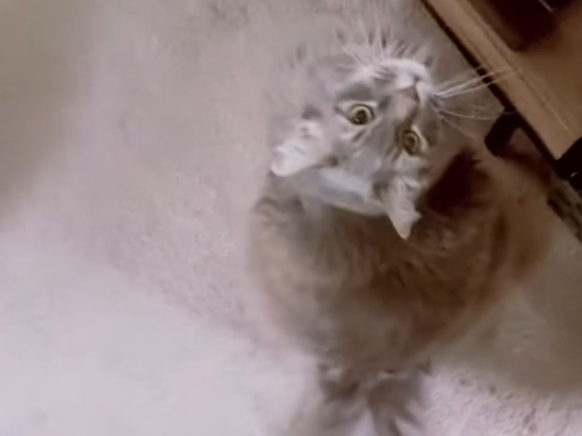 Creative use of buttons