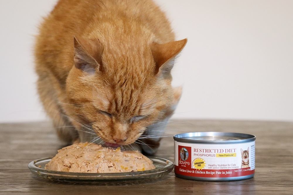 Dave’s Pet Food Chicken Liver and Chicken in Juice