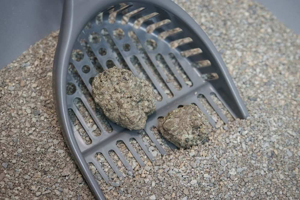 Dr. Elsey's Ultra Unscented Cat Litter