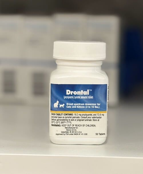 Drontal dewormer for cats