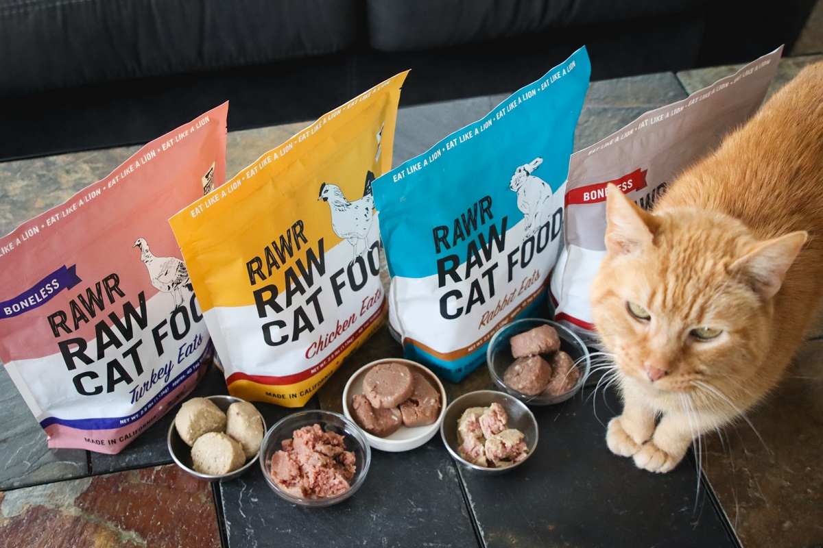 row of RAWR cat food sachets with ginger cat standing next to them