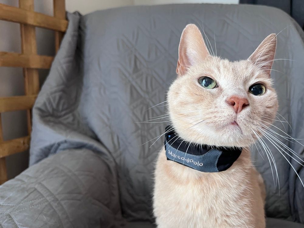 Eureka Marco Polo Advanced Pet Tracker