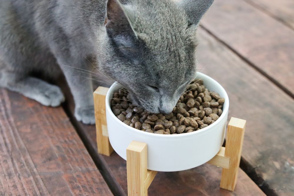 Farmina Natural & Delicious Chicken & Ancestral Low-Grain Formula Dry Cat Food