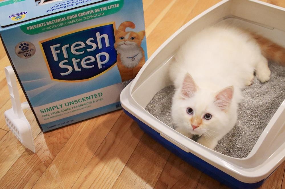 Fresh Step Simply Unscented Clumping Cat Litter