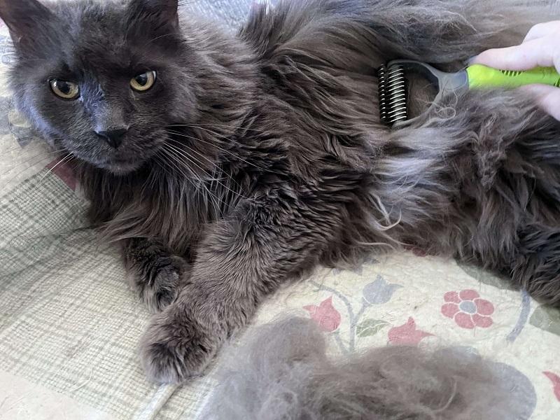 Frisco Dematting Double-Sided Rake