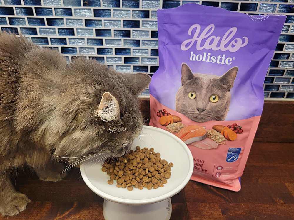 Halo Holistic Healthy Grains Wild-Caught Salmon and Whitefish Recipe Adult Dry Cat Food