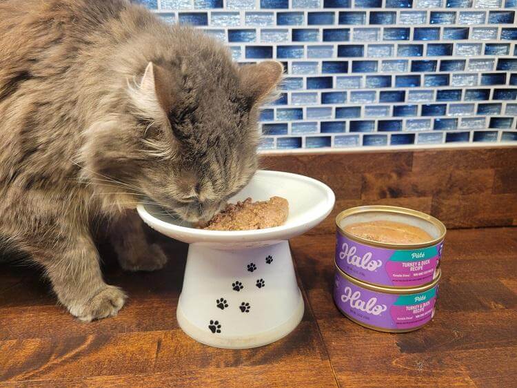 Halo Turkey & Duck Recipe Pâté