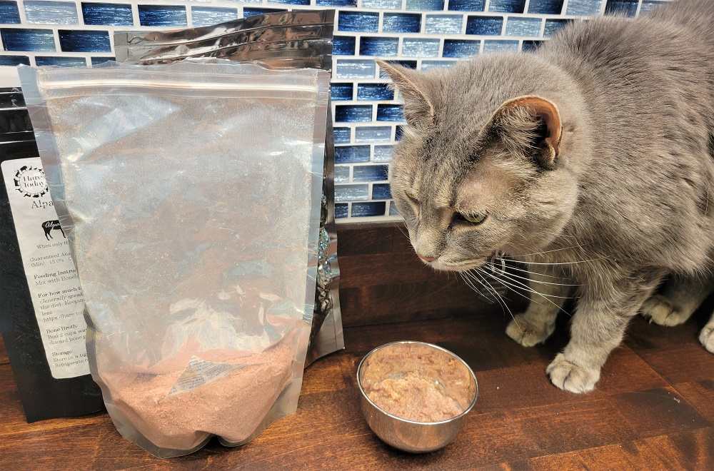 Hare Today's freeze-dried formulas are extremely fine-ground which makes them easy to rehydrate in warm water.