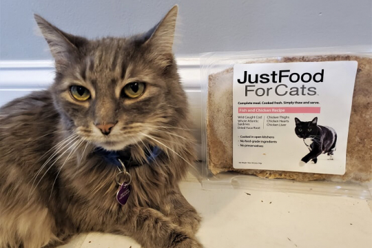 Just Food For Cats Review