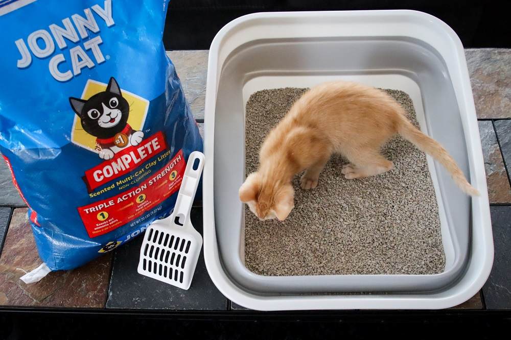 Jonny Cat Complete Scented Multi Cat Non Clumping Clay Litter