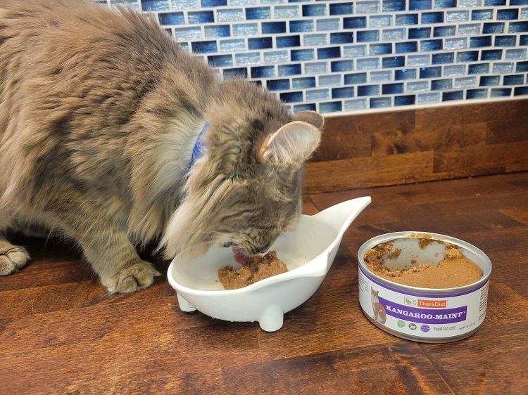 Kangaroo-MAINT Canned Paté