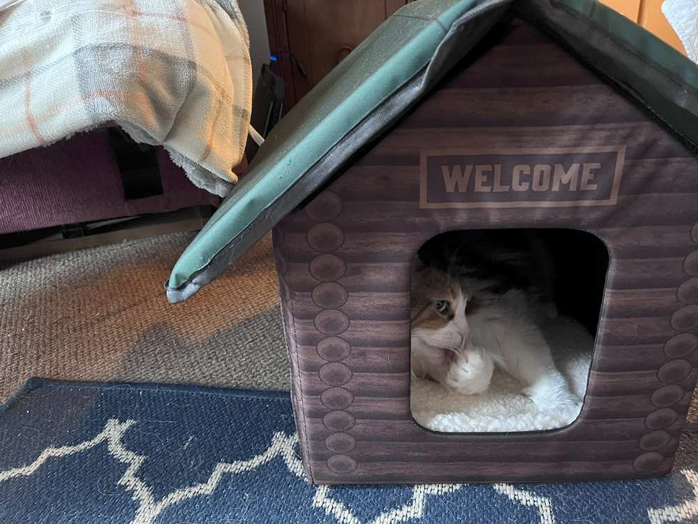 K&H Pet Products Outdoor Heated Kitty House