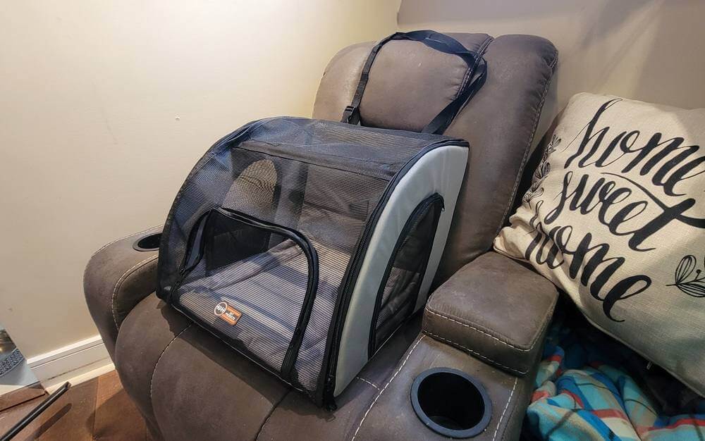 K&H Pet Products Travel Safety Pet Carrier