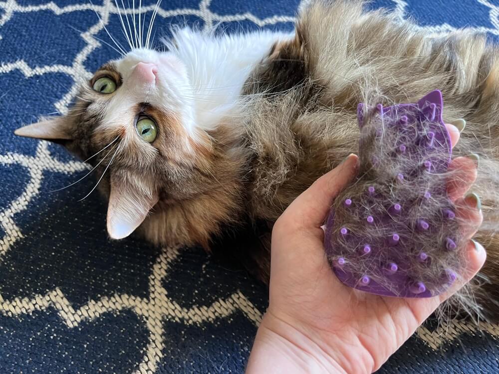 KONG Cat ZoomGroom Brush