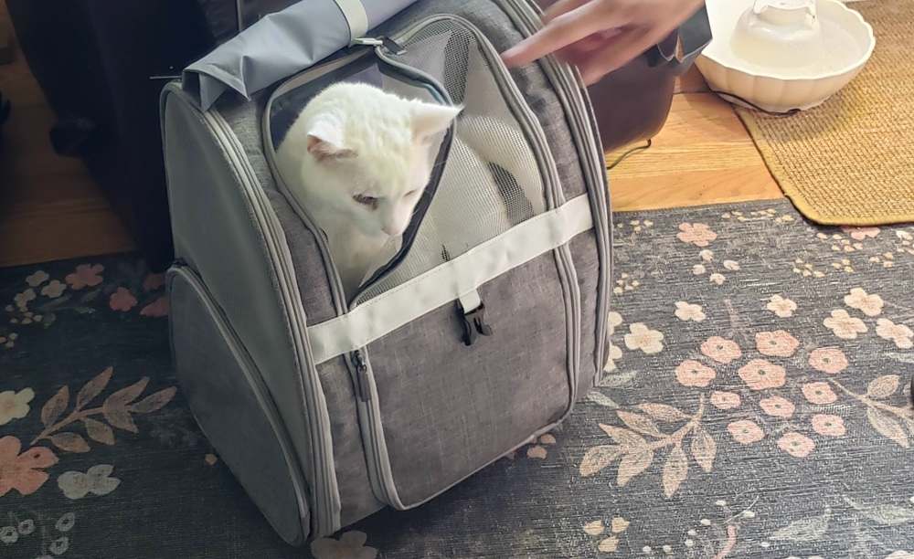 Lollimeow Pet Rolling Carrier