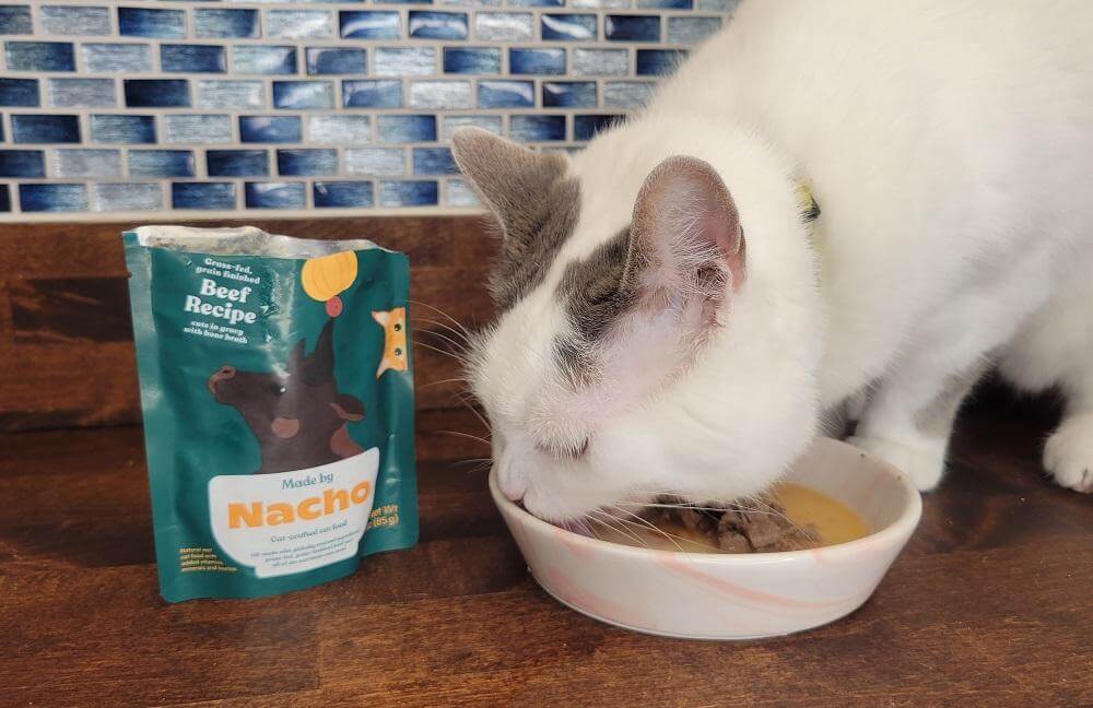 Made by Nacho Grass-Fed Grain-Finished Beef Recipe Cuts in Gravy with Bone Broth Wet Cat Food
