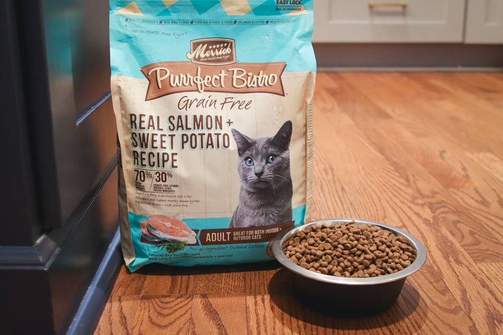 Merrick Purrfect Bistro Grain-Free Real Salmon + Sweet Potato Recipe Adult Dry Cat Food