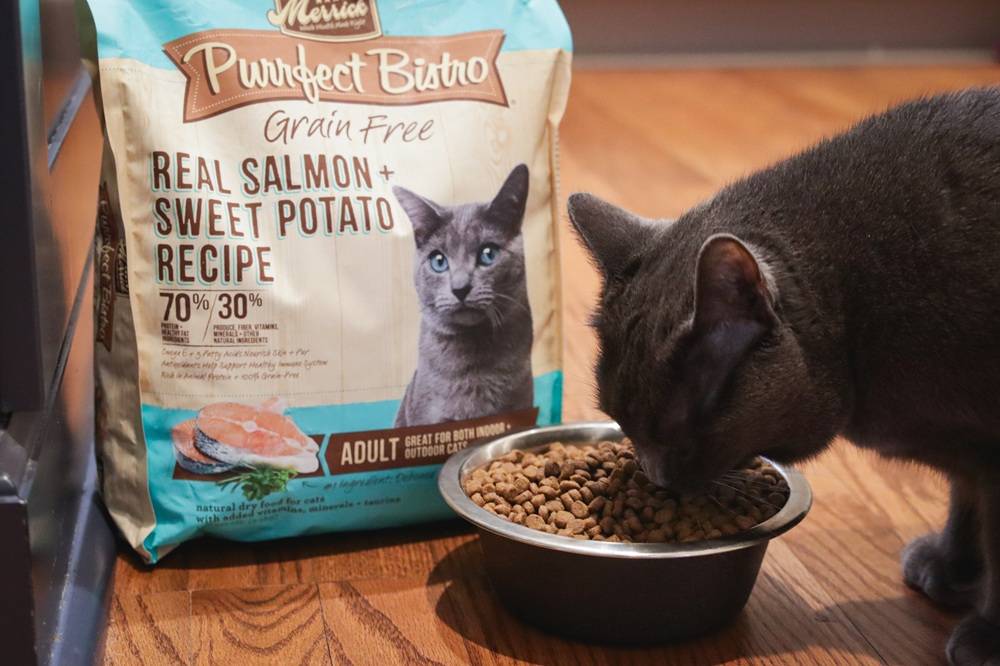 Merrick Purrfect Bistro Grain-Free Real Salmon + Sweet Potato Recipe Adult Dry Cat Food
