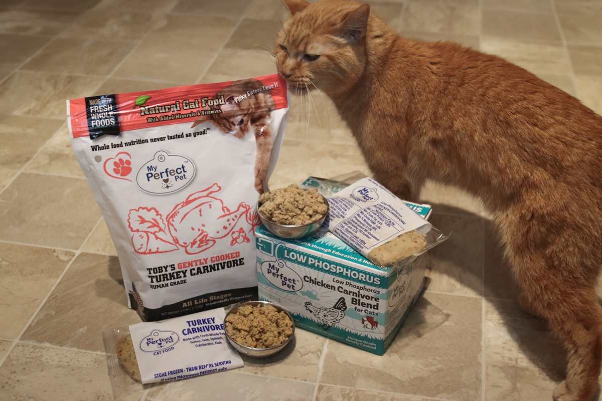 My Perfect Cat Foods