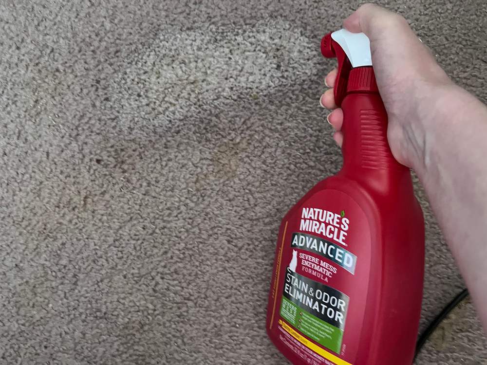 Nature’s Miracle Advanced Cat Stain and Odor Remover