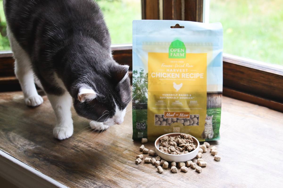 Open Farm Freeze Dried Raw Harvest Chicken Cat Food