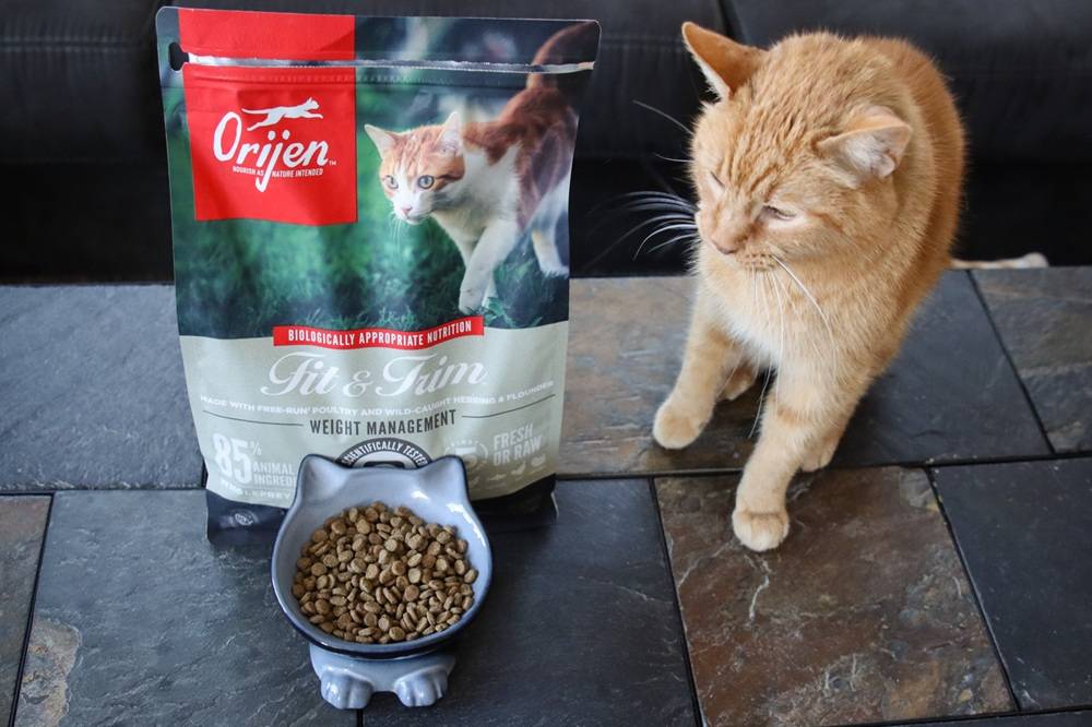 Orijen Fit & Trim Dry Kibble Cat Food