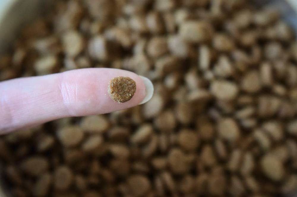 Orijen Original Cat Dry Kibble Food