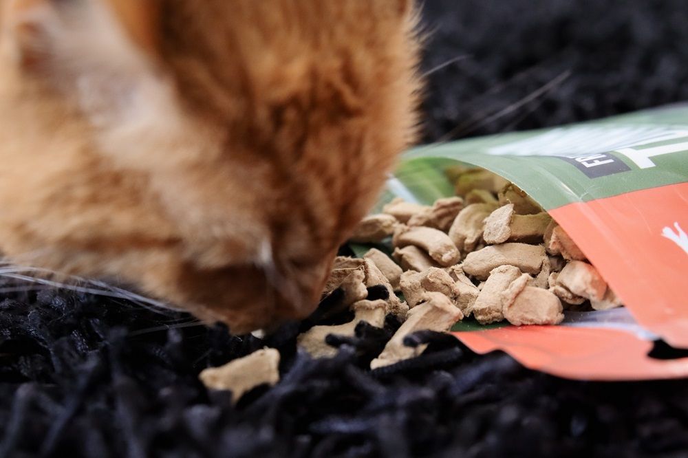 Orijen Tundra Grain-Free Freeze-Dried Cat Treats