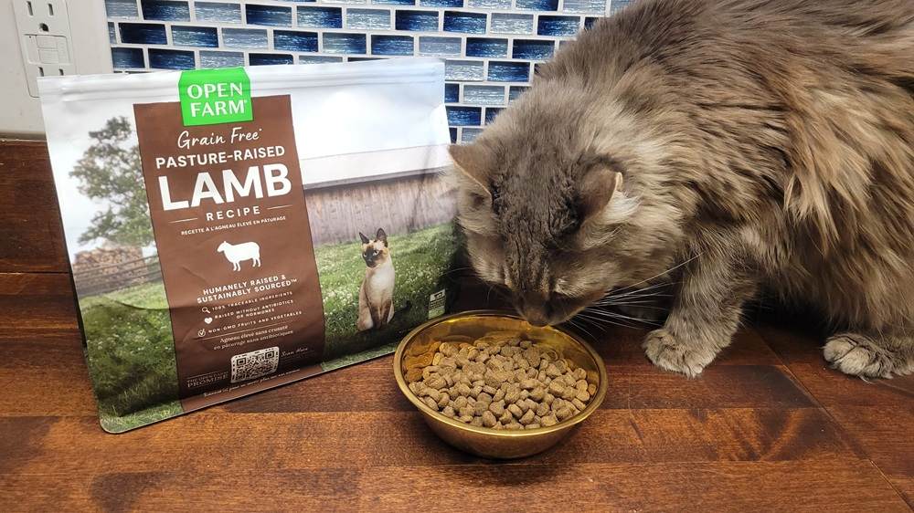 Pasture-Raised Lamb Grain-Free Dry Cat Food
