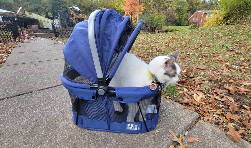 Pet Gear VIEW 360 Pet Carrier