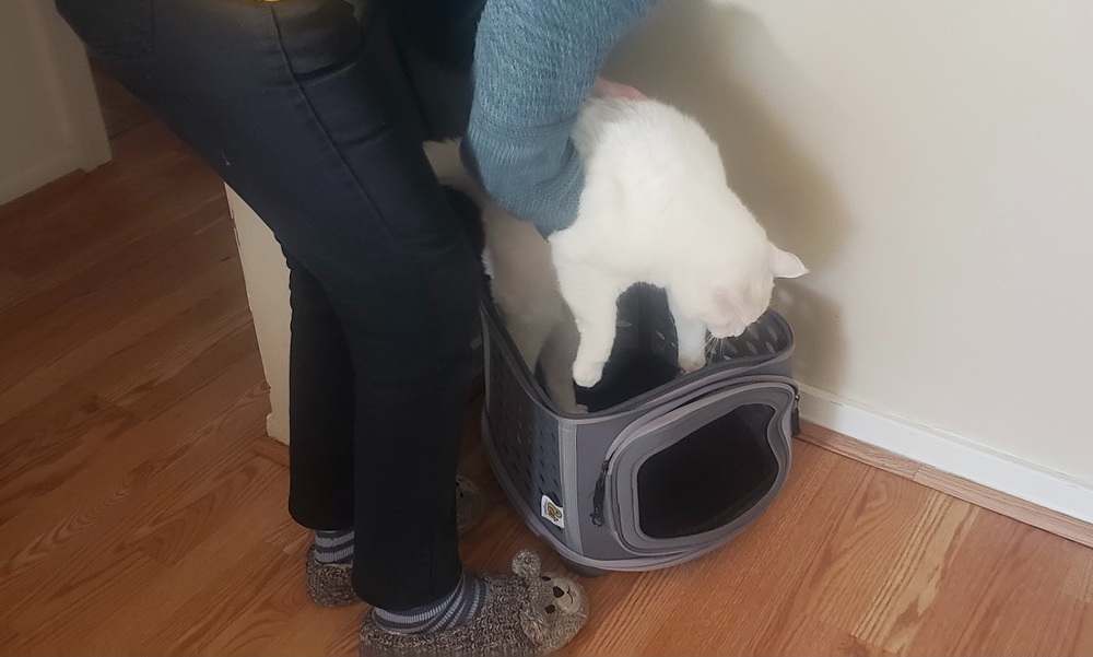 Pet Magasin Hard Cover Collapsible Cat Carrier