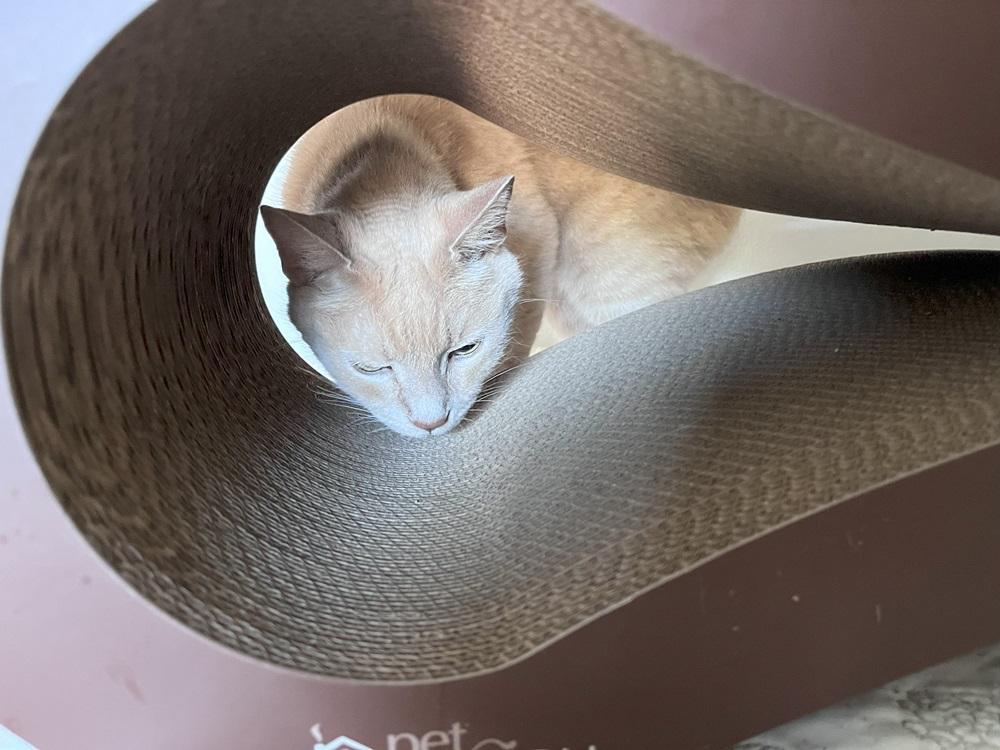 PetFusion Ultimate Cat Scratcher Lounge