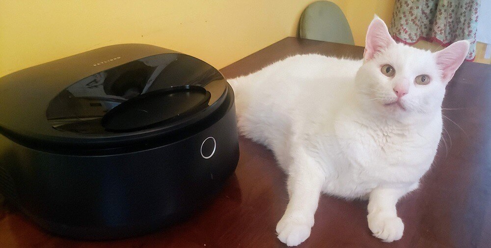 PetLibro Polar Wet Food Feeder