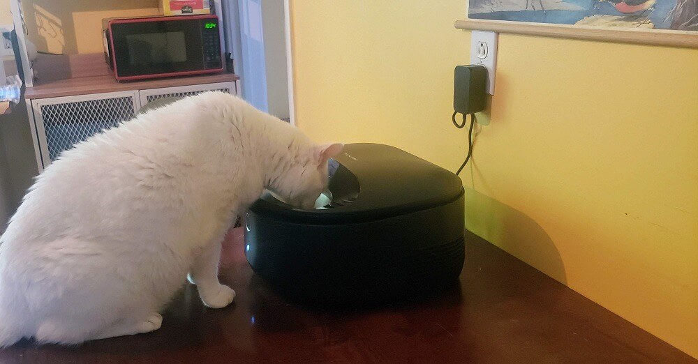 PetLibro Polar Wet Food Feeder