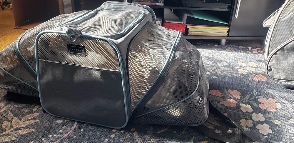 Petsfit Expandable Travel Carrier