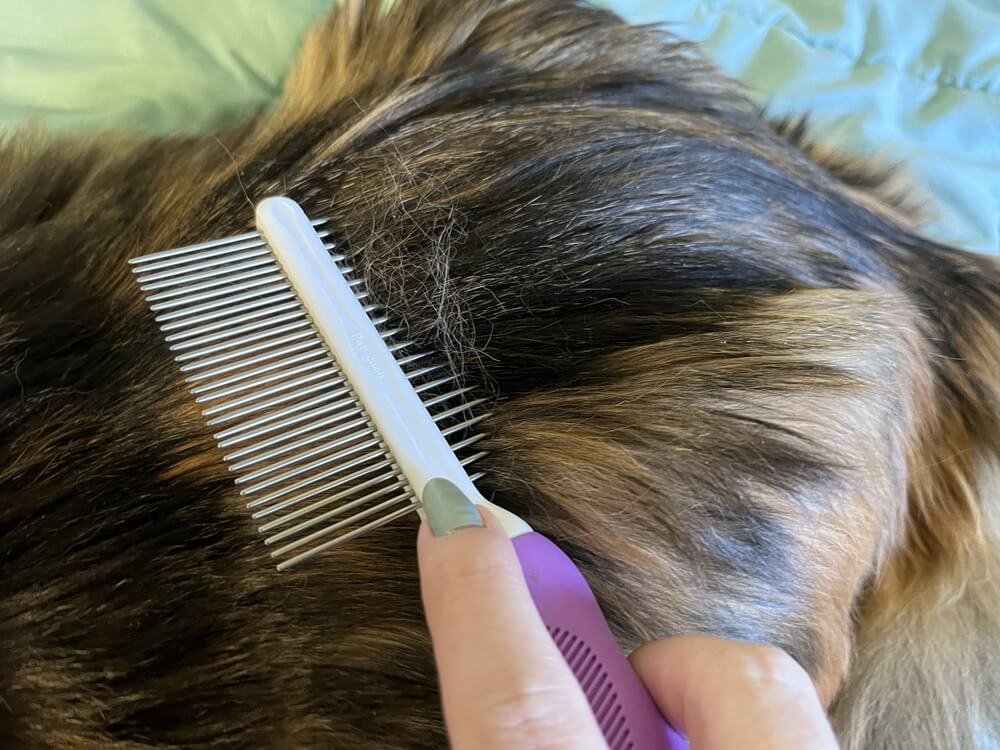 POODLIE Double-Sided Pet Comb