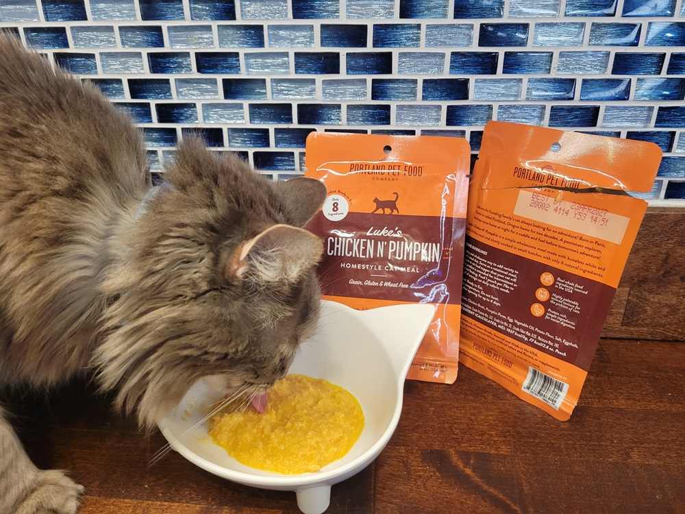 Portland Pet Food Company Luke’s Chicken N’ Pumpkin Homestyle Cat Meal