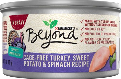 Purina Beyond Cage-Free Turkey, Sweet Potato & Spinach Recipe in Gravy Canned Cat Food