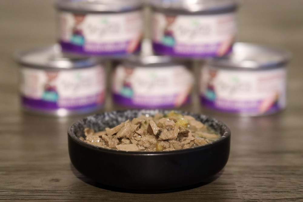 Purina Beyond Cage-Free Turkey Sweet Potato & Spinach Recipe in Gravy Wet Canned Cat Food