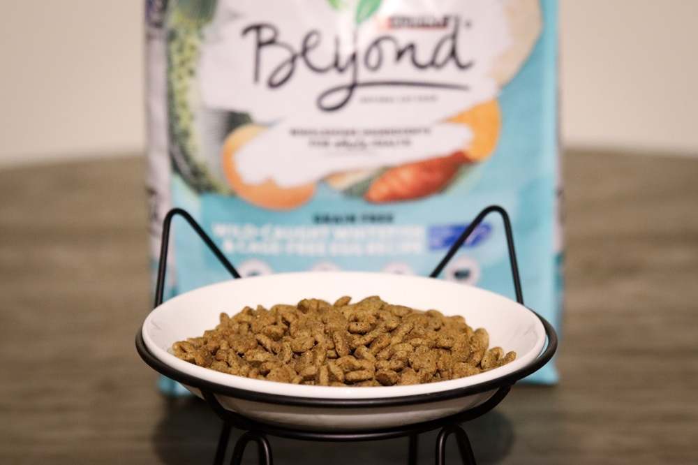 Purina Beyond Ocean Whitefish & Egg Dry Kibble Cat Food
