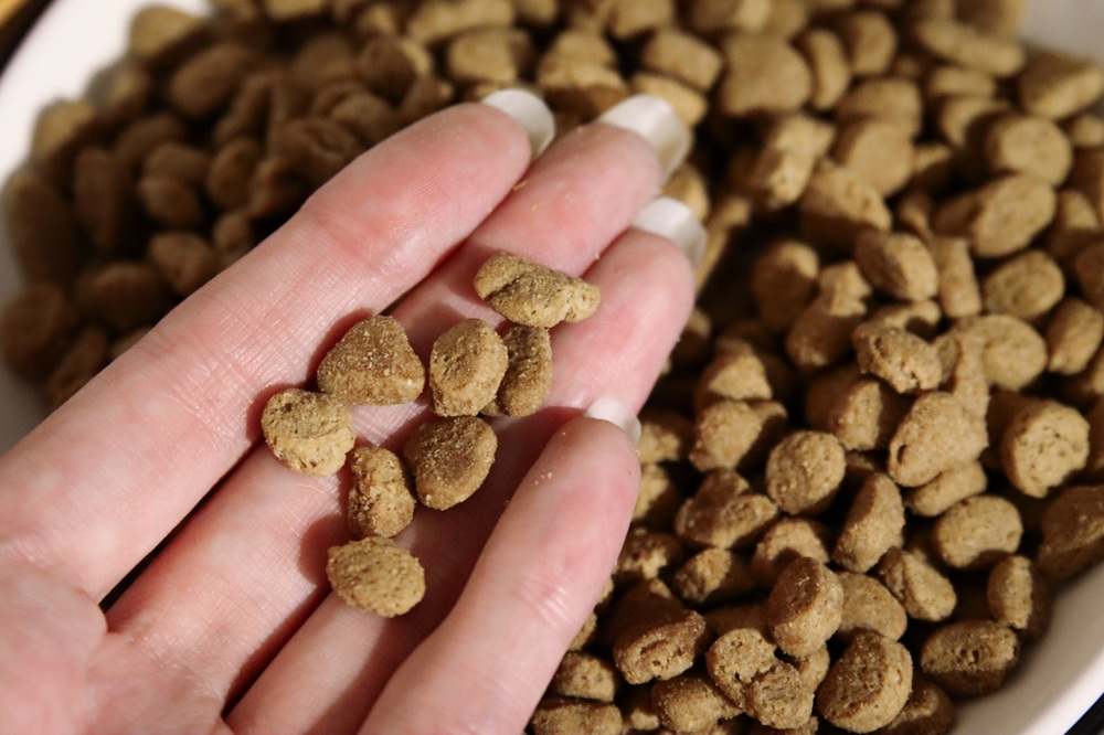 Purina Beyond White Meat Chicken & Egg Dry Kibble Cat Food