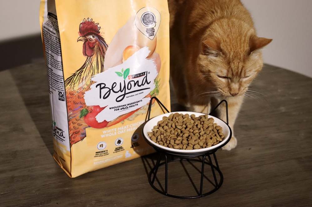 Purina Beyond White Meat Chicken & Egg Dry Kibble Cat Food