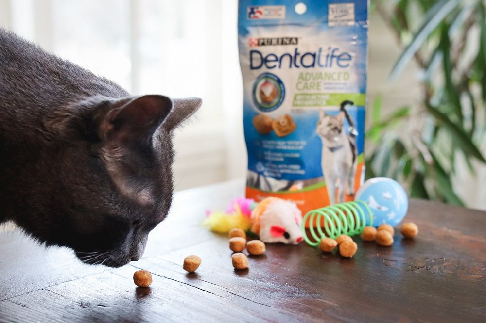 Purina DentaLife Tasty Chicken Flavor Dental Cat Treats.